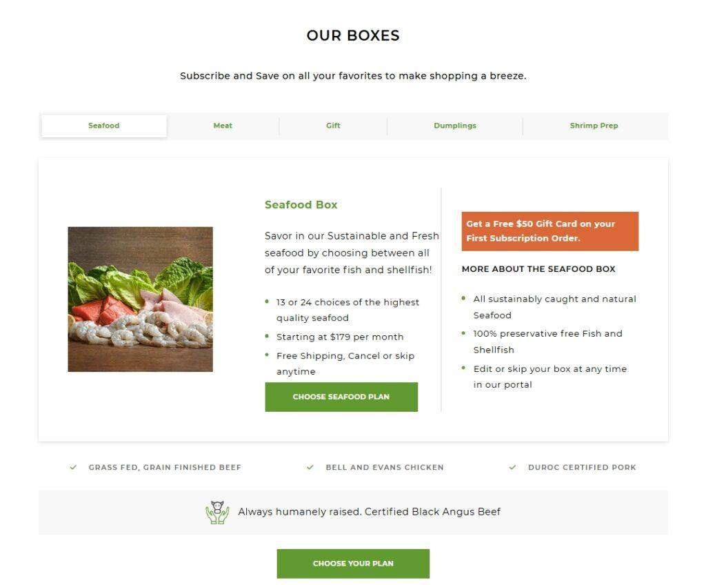 Build Bold. Scale Smart. Design Exceptionally - Websolave