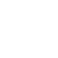 Build Bold. Scale Smart. Design Exceptionally - Websolave