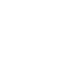 Build Bold. Scale Smart. Design Exceptionally - Websolave